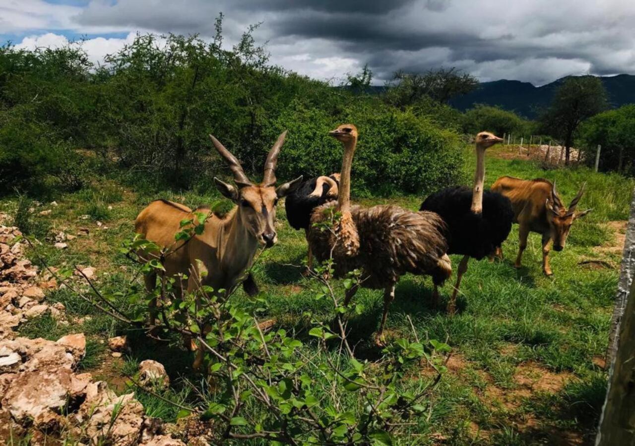 Oldonyo Orok Lodge Kajiado Eksteriør bilde