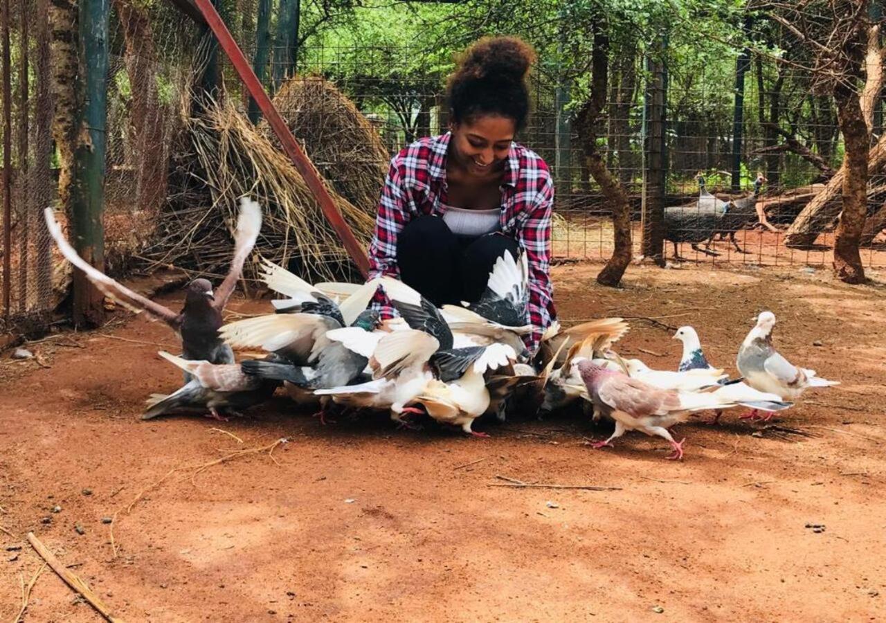 Oldonyo Orok Lodge Kajiado Eksteriør bilde