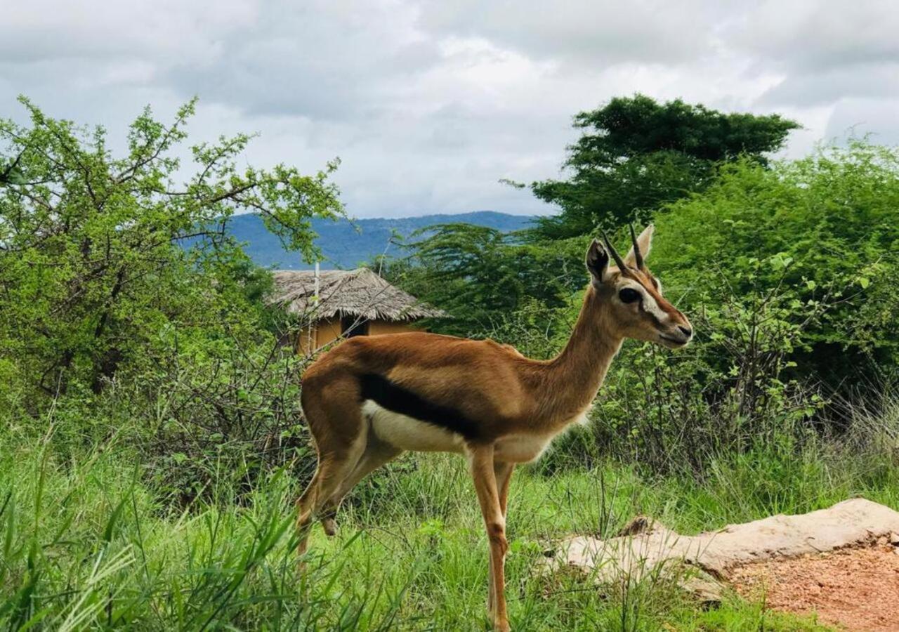 Oldonyo Orok Lodge Kajiado Eksteriør bilde