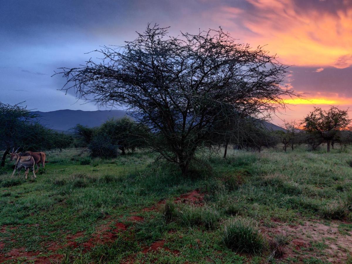 Oldonyo Orok Lodge Kajiado Eksteriør bilde
